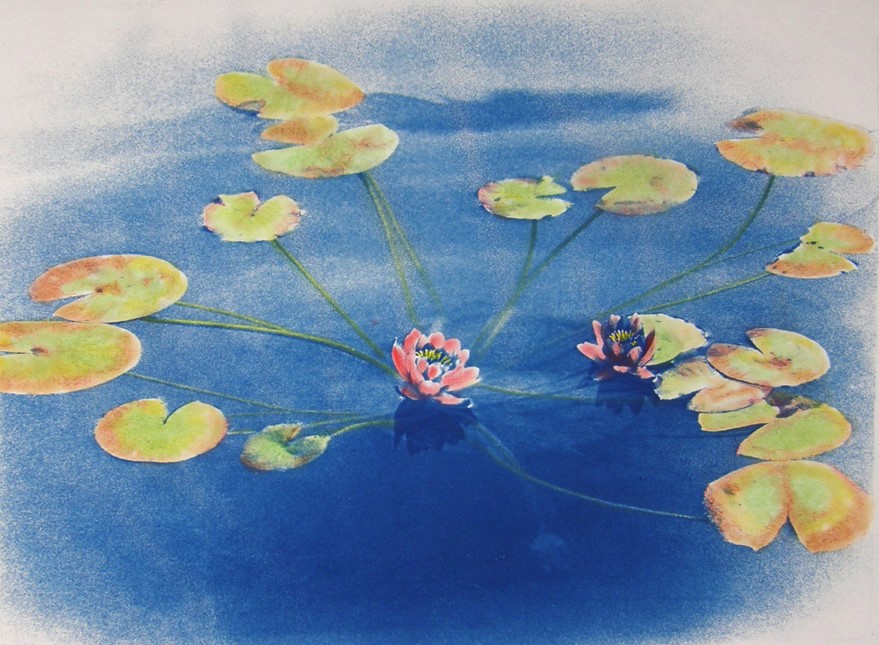Cyano Lily 1