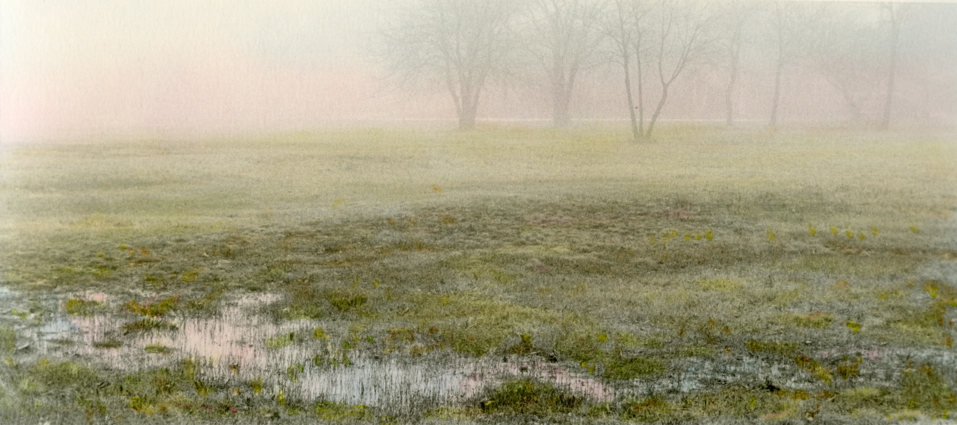 FOGScape #1