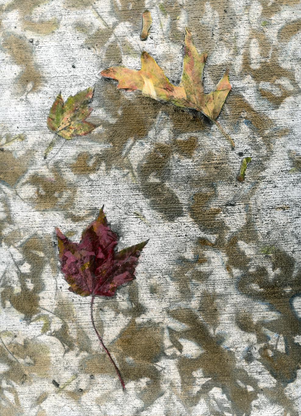 Indelible #5