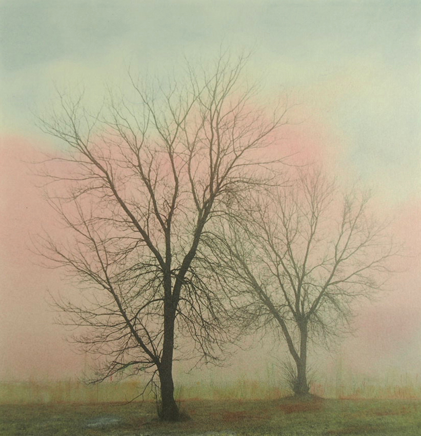 Rolling Fog #2